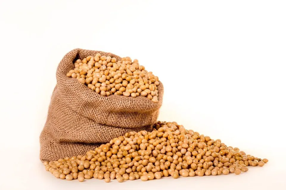 Soybeans