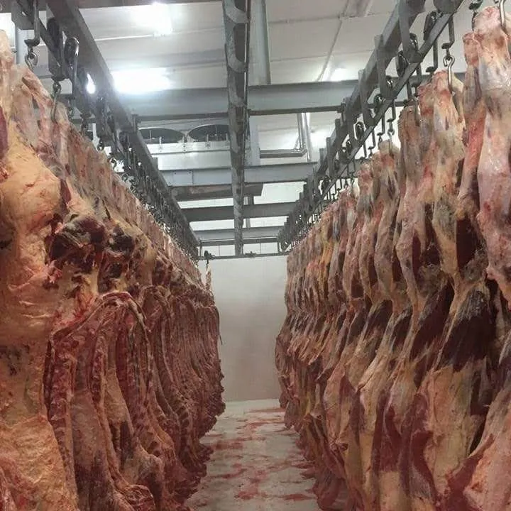 Livestock