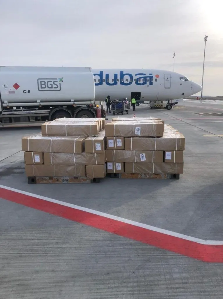 Packed cargo next to a plane at an airport
