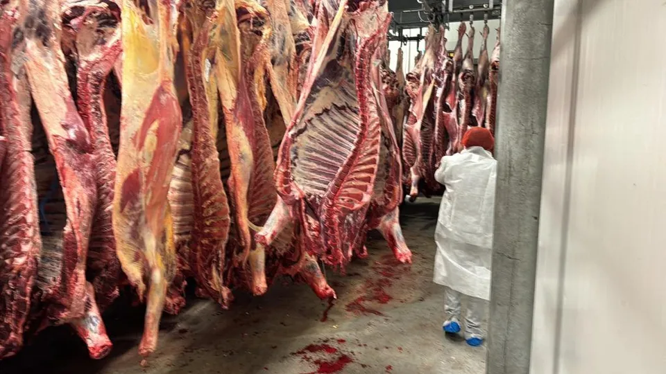 Halal