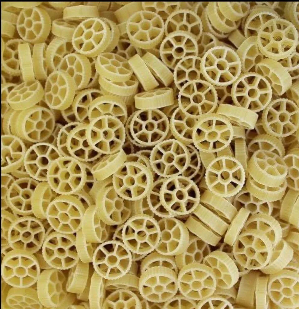 Pasta3
